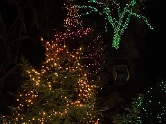 016 Toledo Zoo Light Show [2008 Dec 27]
